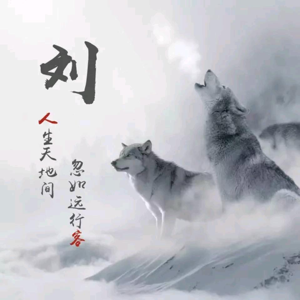 临淄刘华强重出江湖