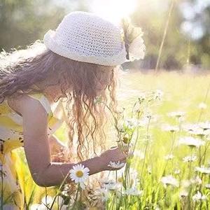 节水灌溉除尘设备