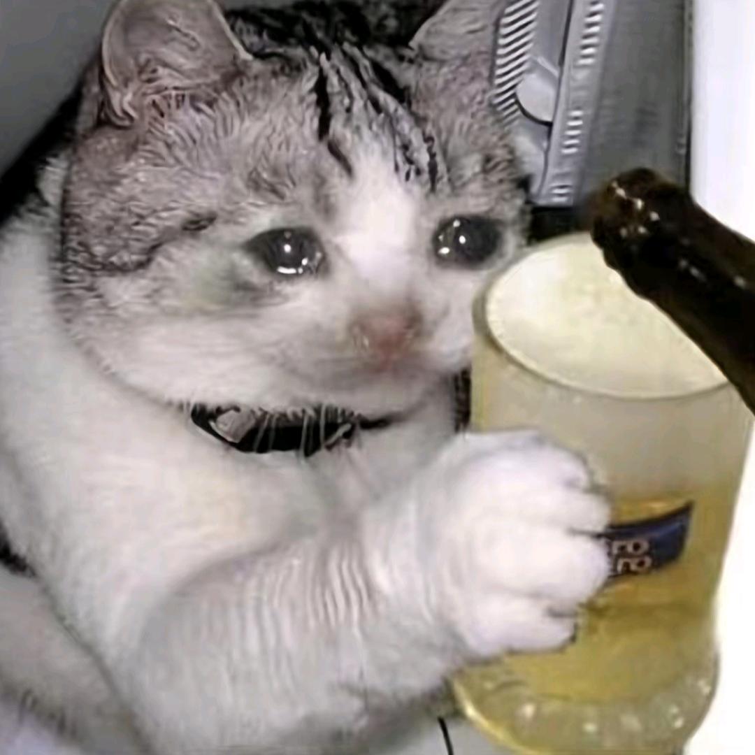。。。。。zz头像