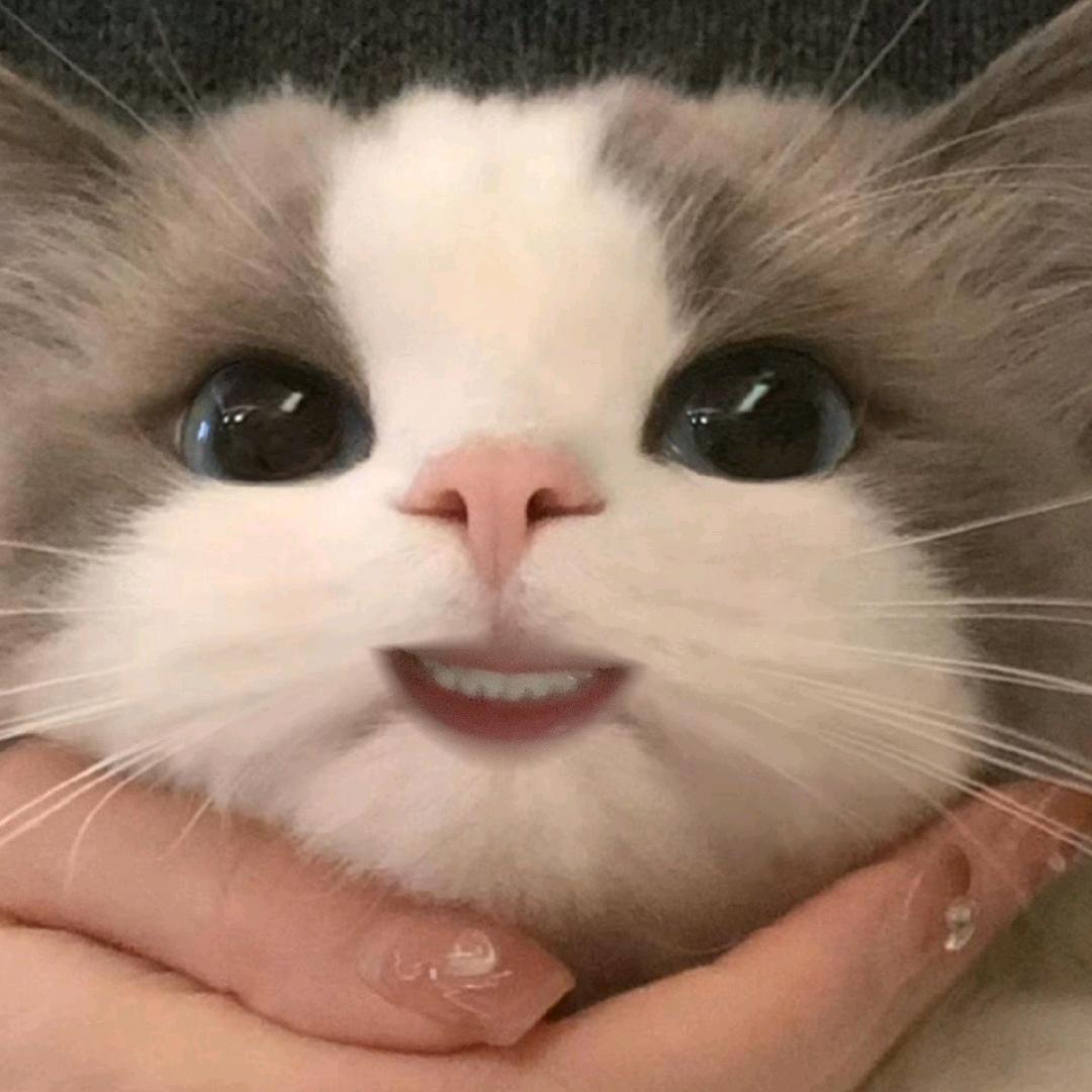梦🐏