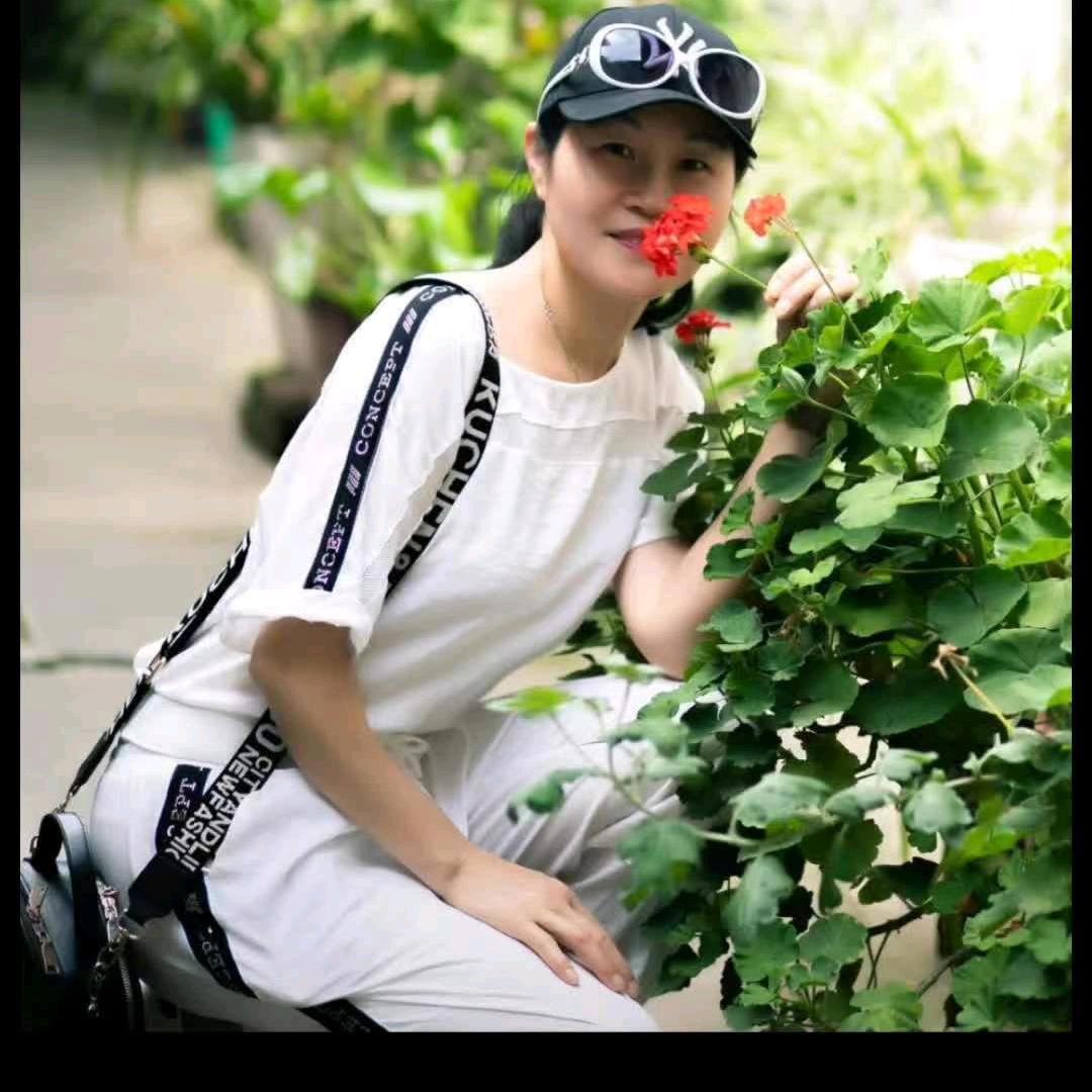 金凤凰婚庆~～慧慧王(旗袍)