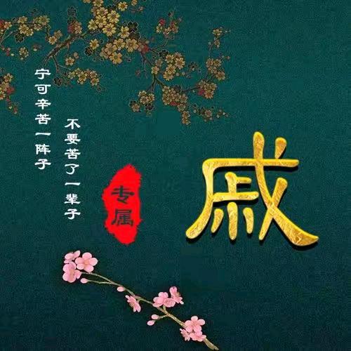 戚家军668好物在橱窗