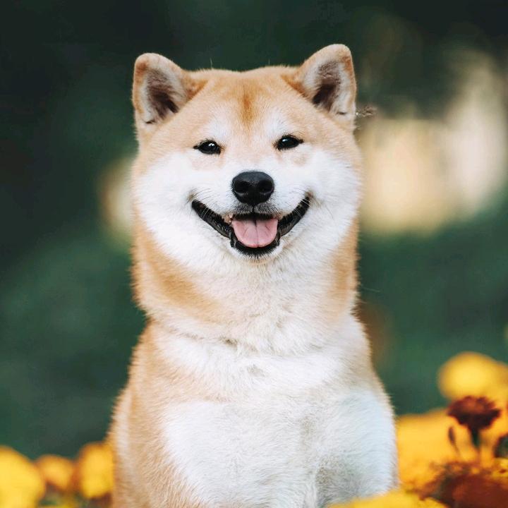 嗯👀呐