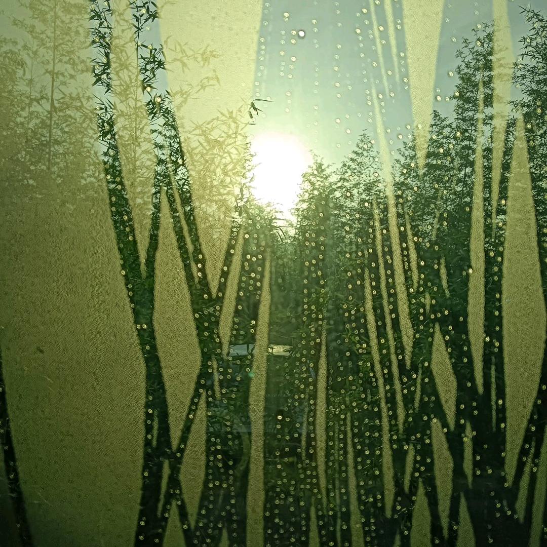 老陶不吃桃