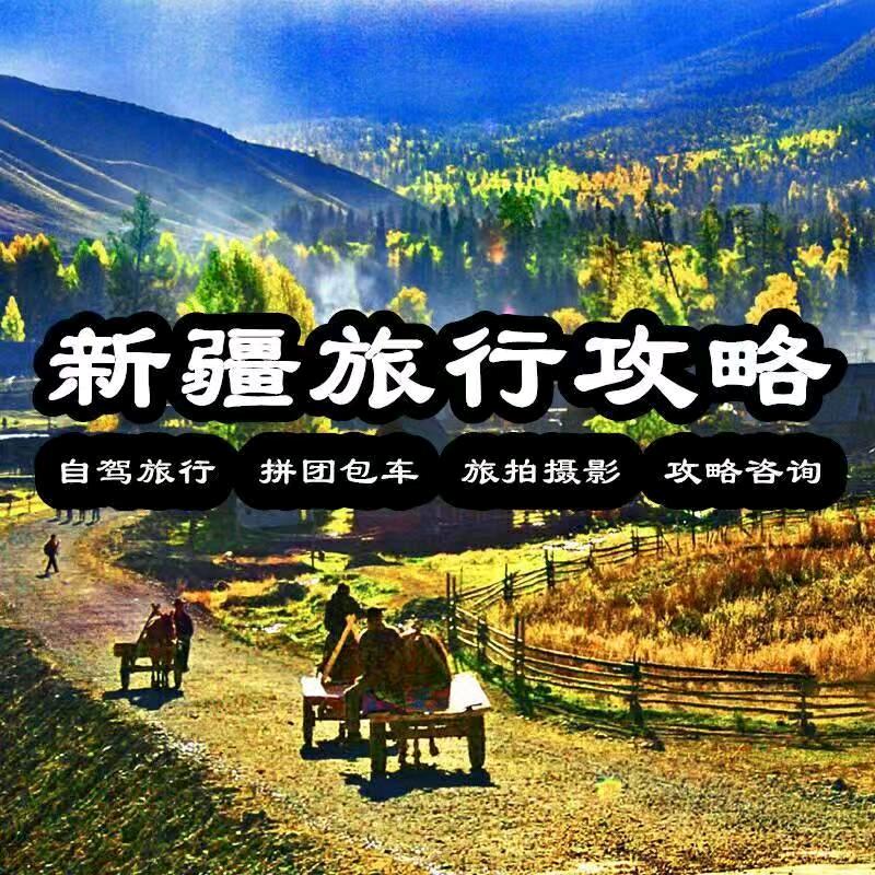 新疆美食旅行-阿力