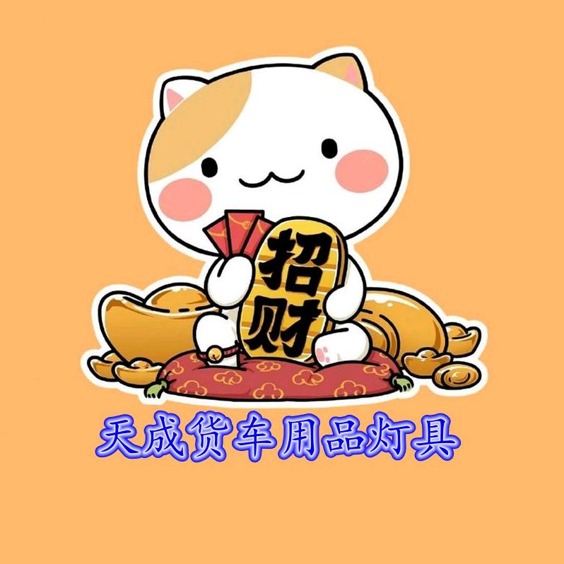 天成货车用品灯具