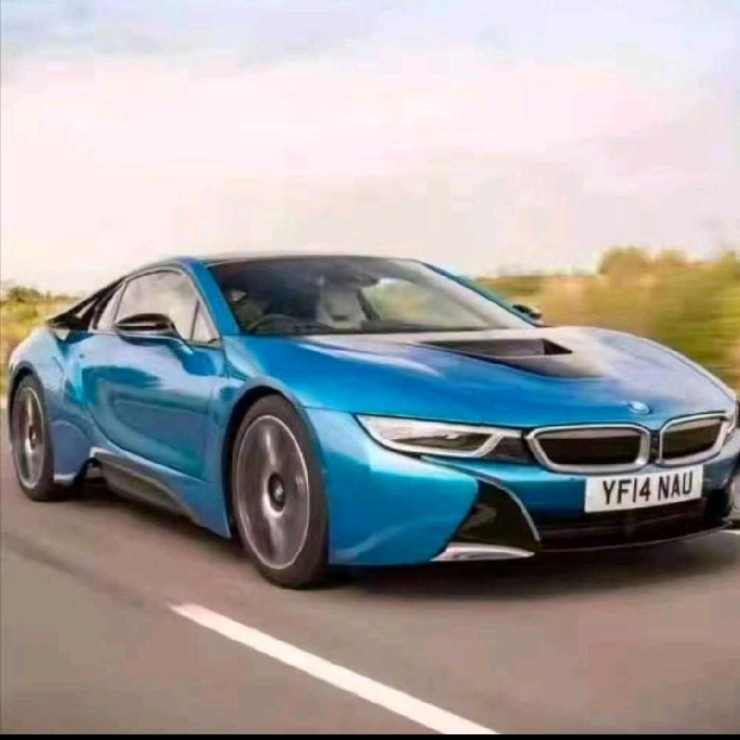 金掌柜（鑫润典当）