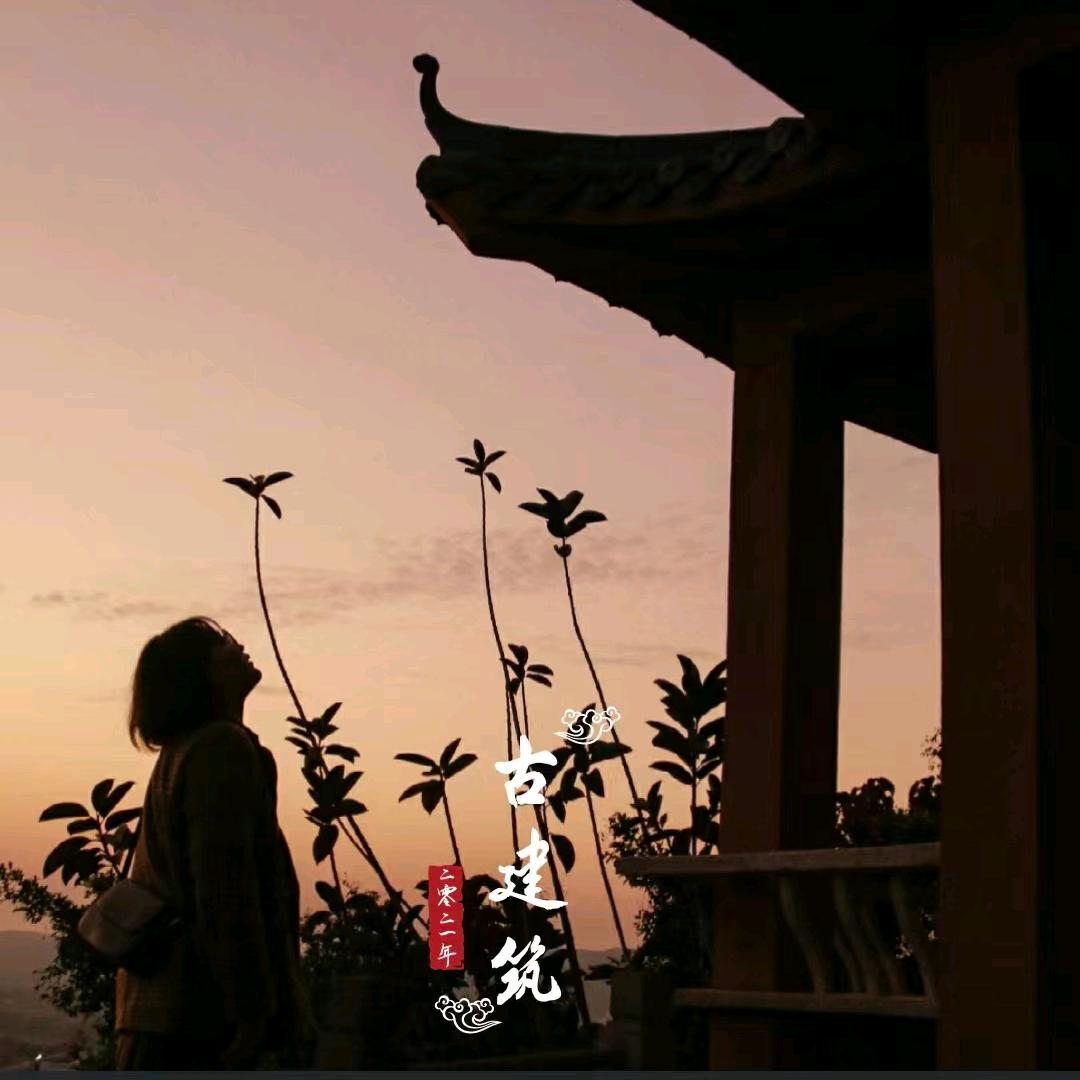 小小泉🌿
