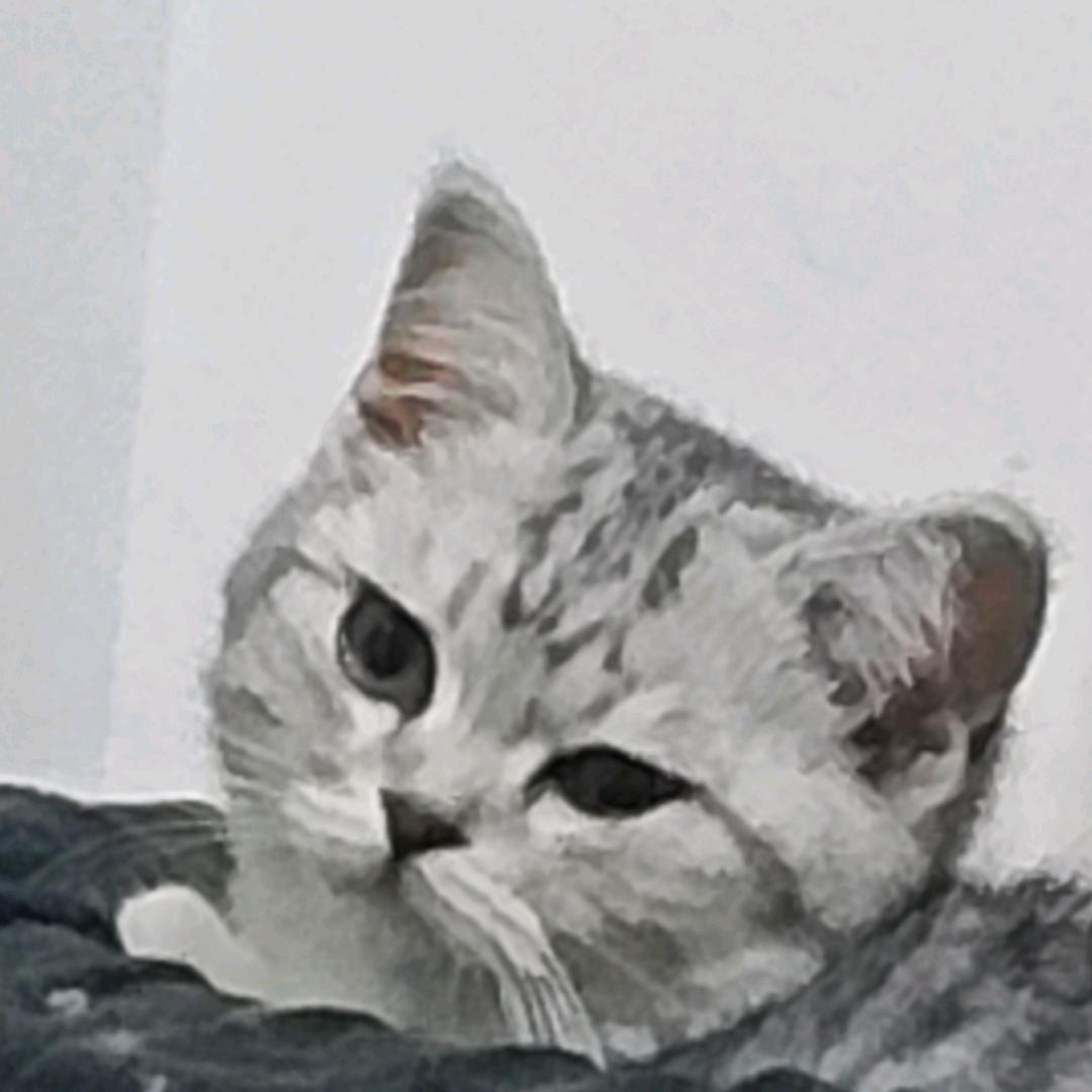玩