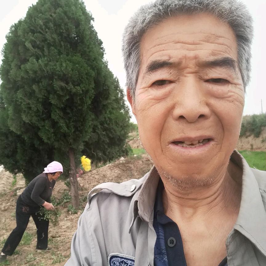 老兵28433