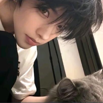 亿万少女的梦℡