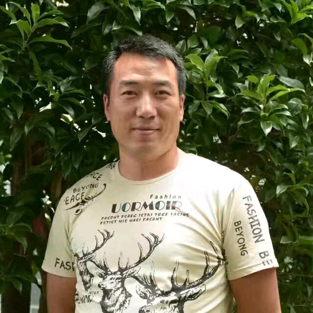 木 木 花卉