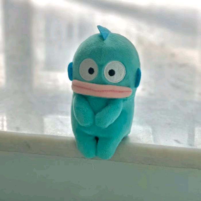 又把wo弄丢了
