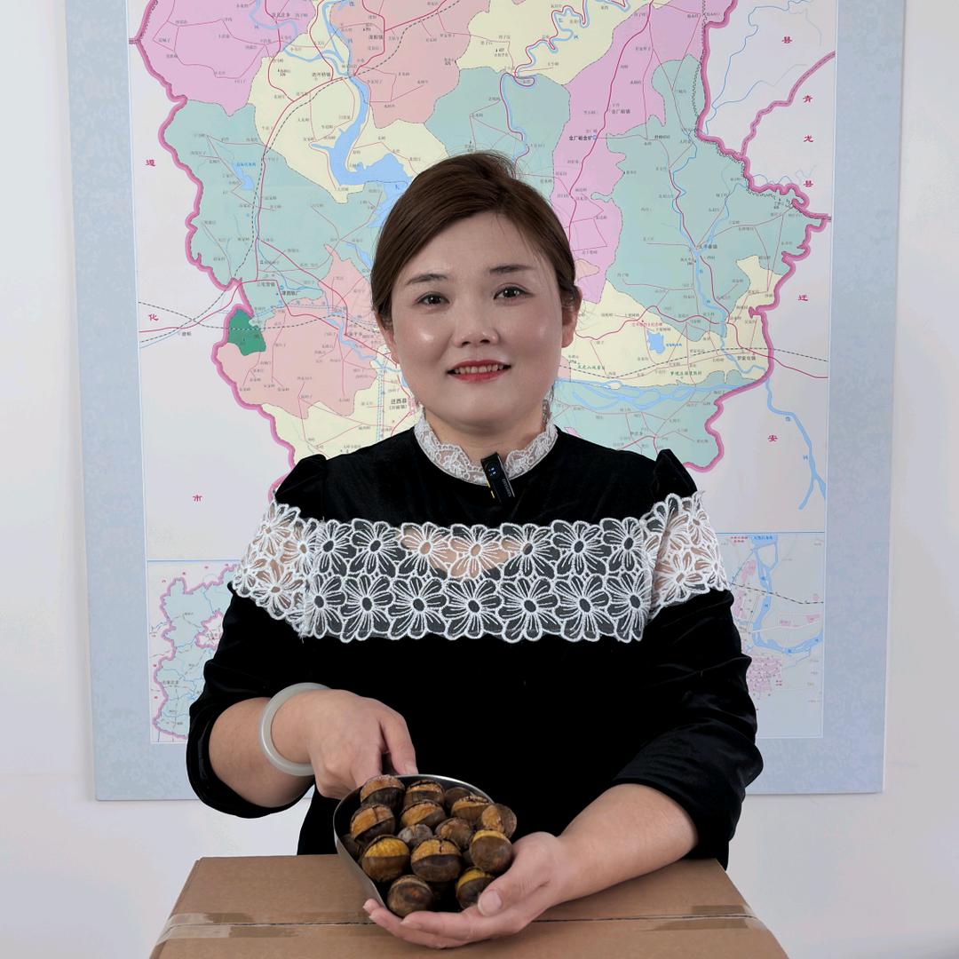金板栗优选
