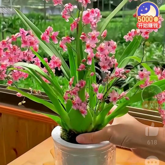 久伴~小彭