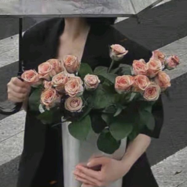 ᝰ: ಇ᭄安࿆ྃ好