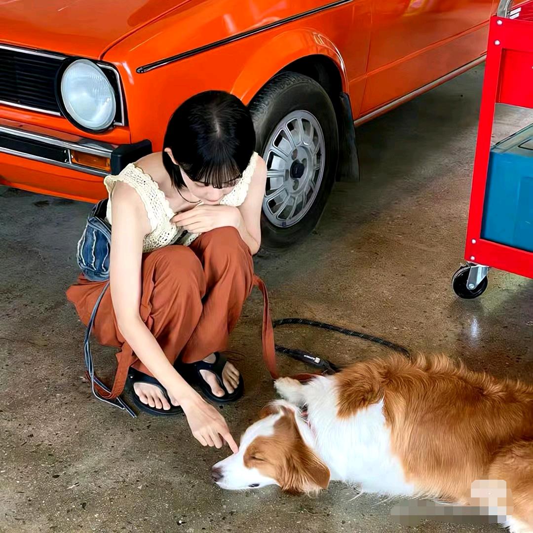 黄儿