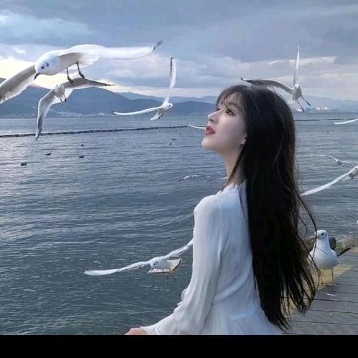 旺运小王子