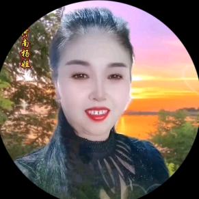 河南杨姐