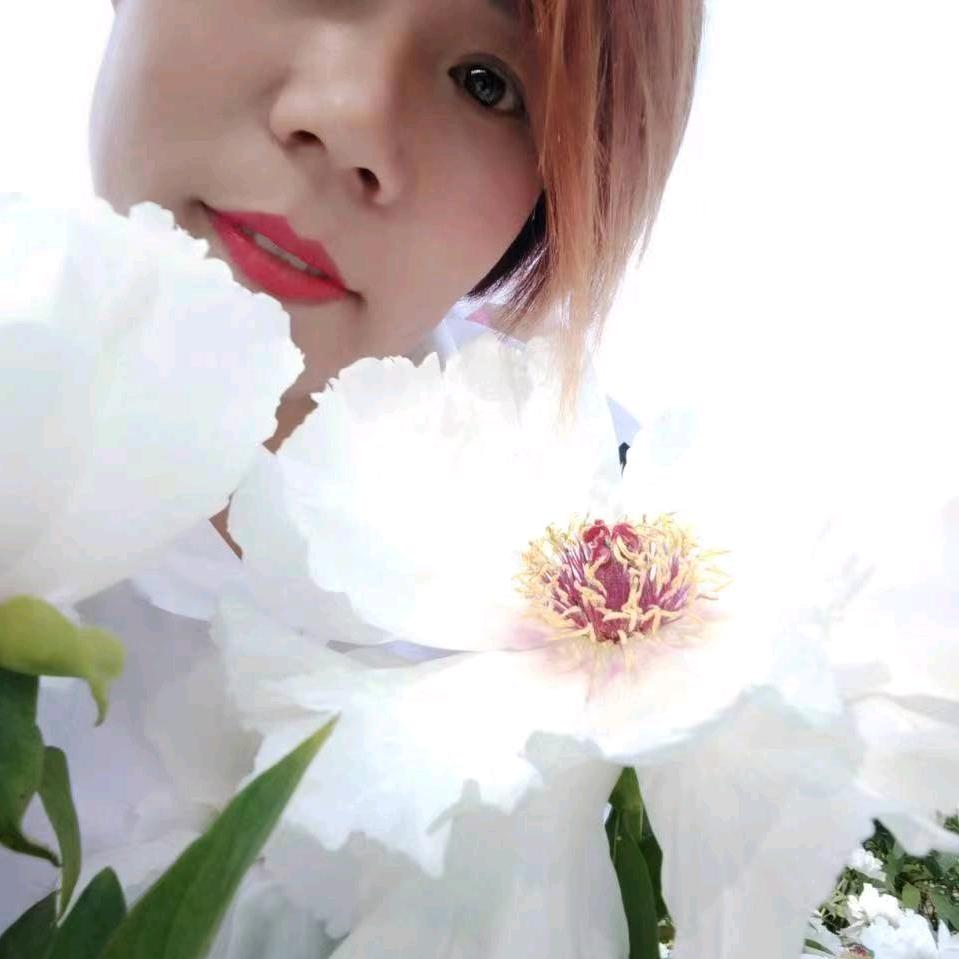勇敢的心