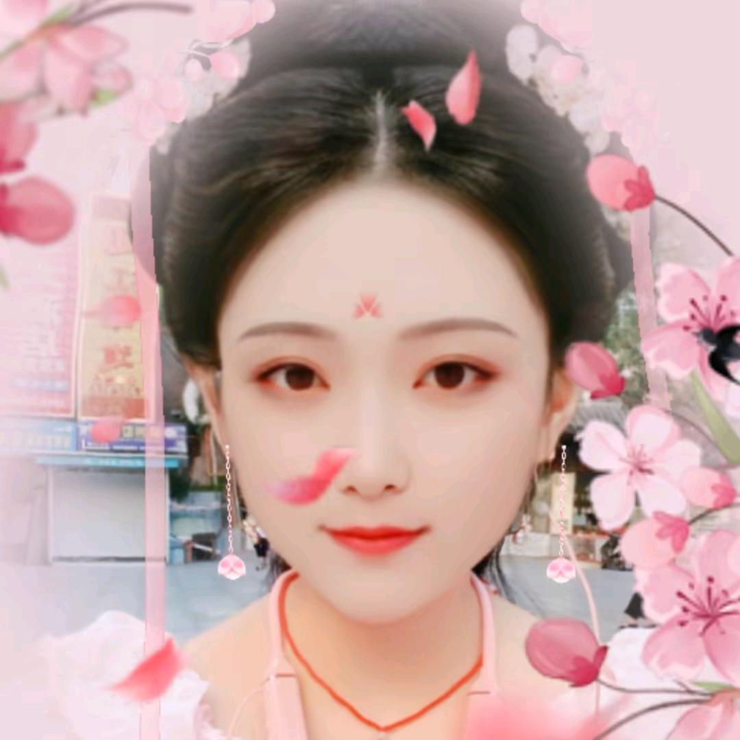 兔子和狗🐶