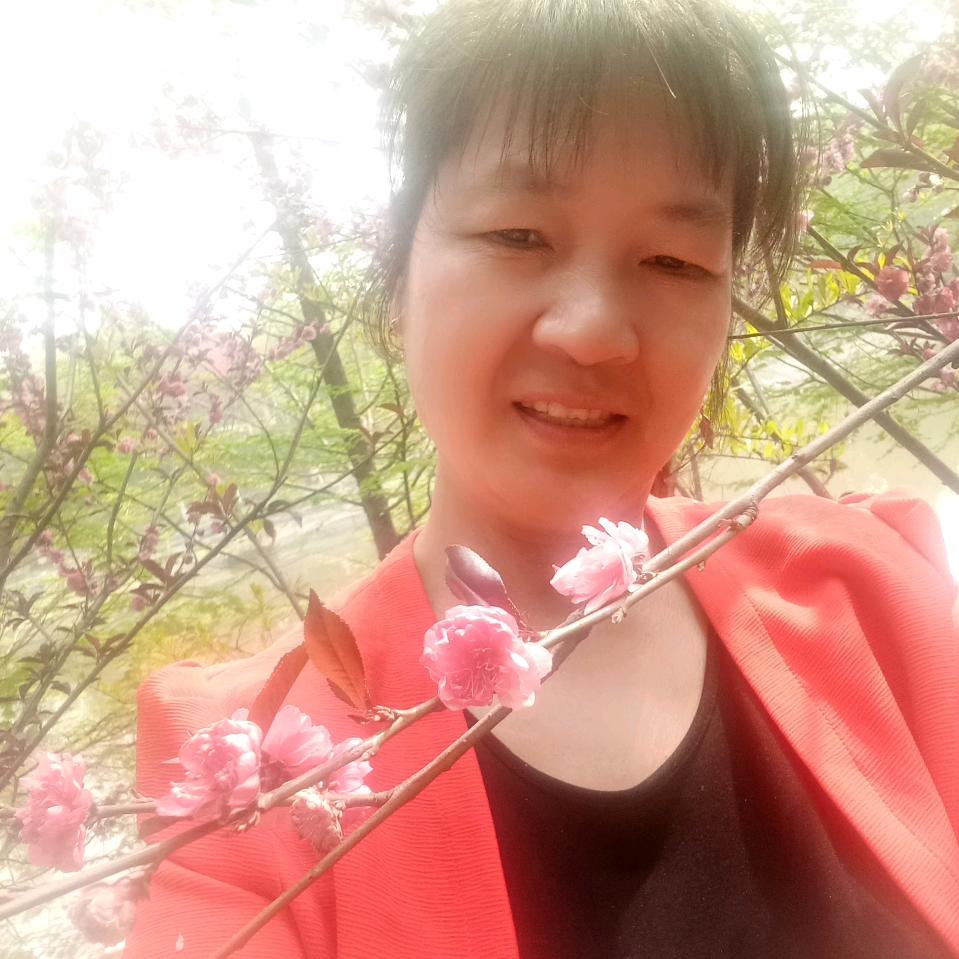 禾叔叔新城一号黄云香
