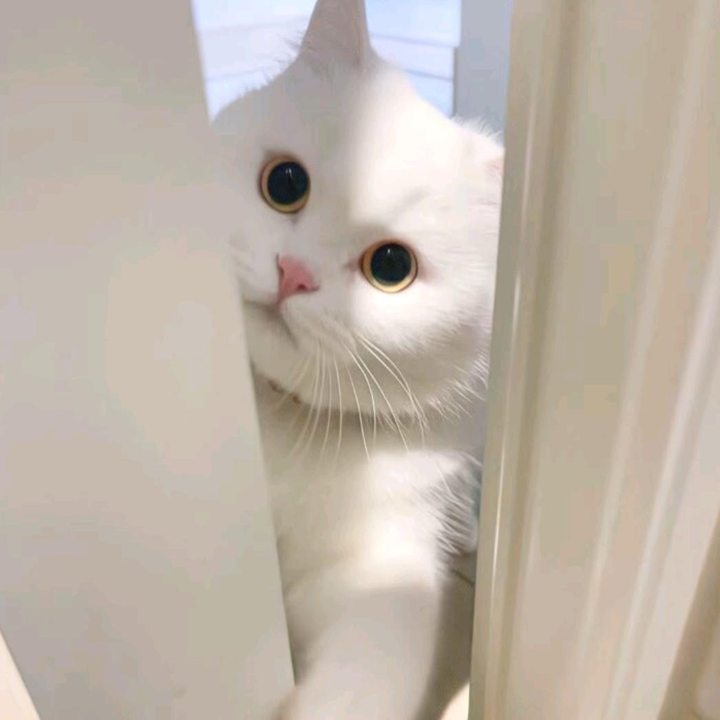 没  什么