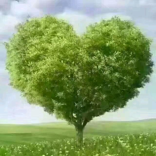 爱你的人兵哥哥