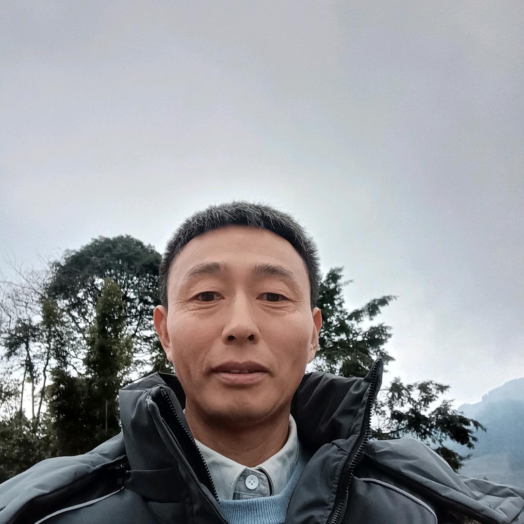 十一