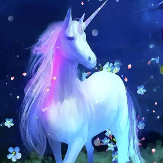 ͏ ͏͏͏͏͏じ★金海岸★℡