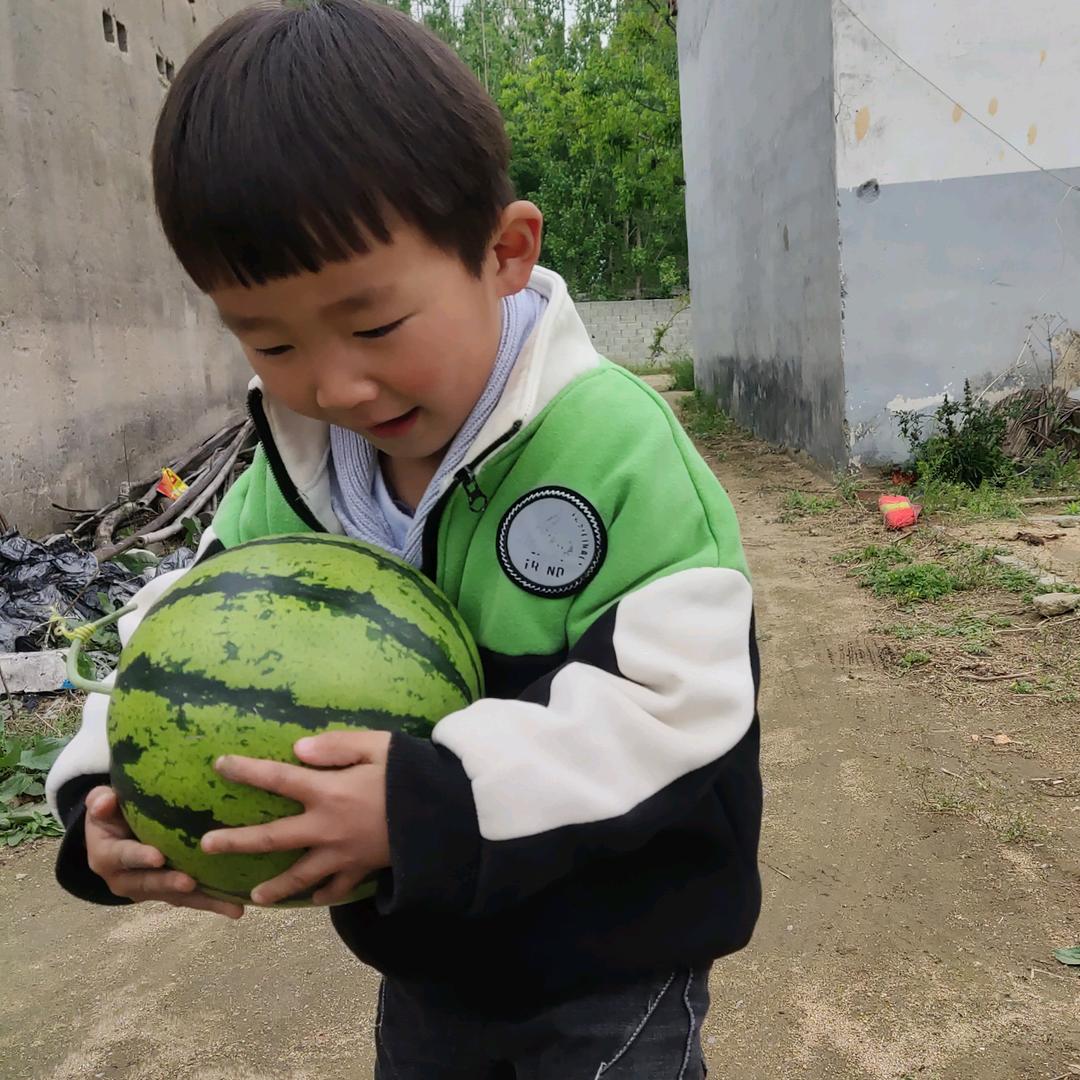 沂蒙果园