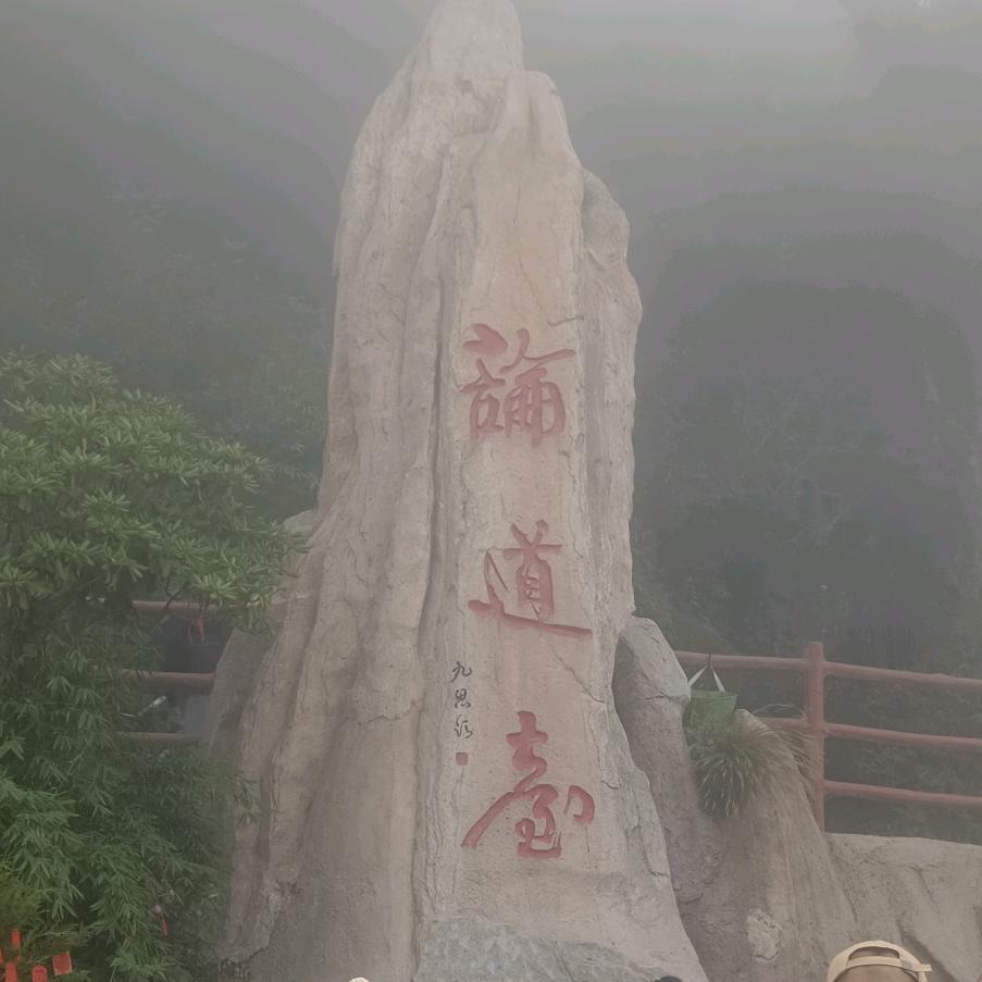 智者不入爱河