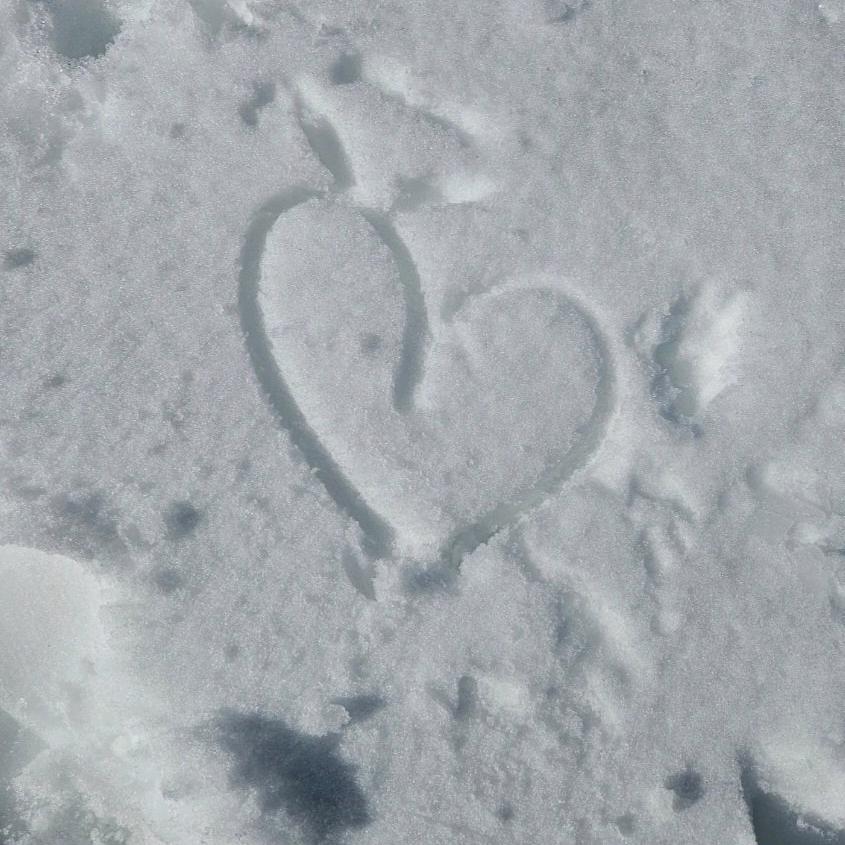 瓦达西看不懂思密达（见过oso版）