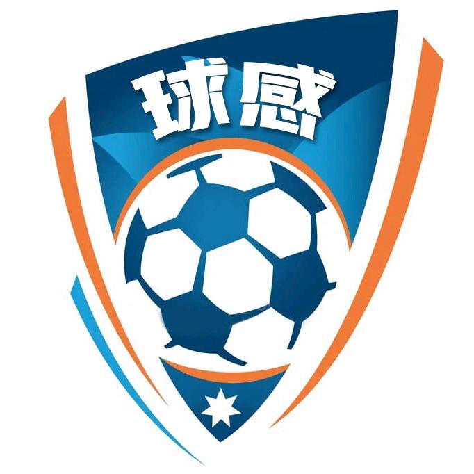 球感体育直播