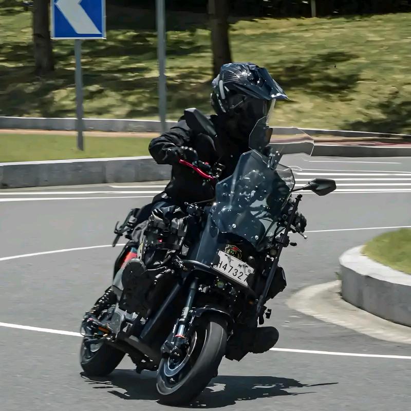 精神豆儿（新人hu  zhu）