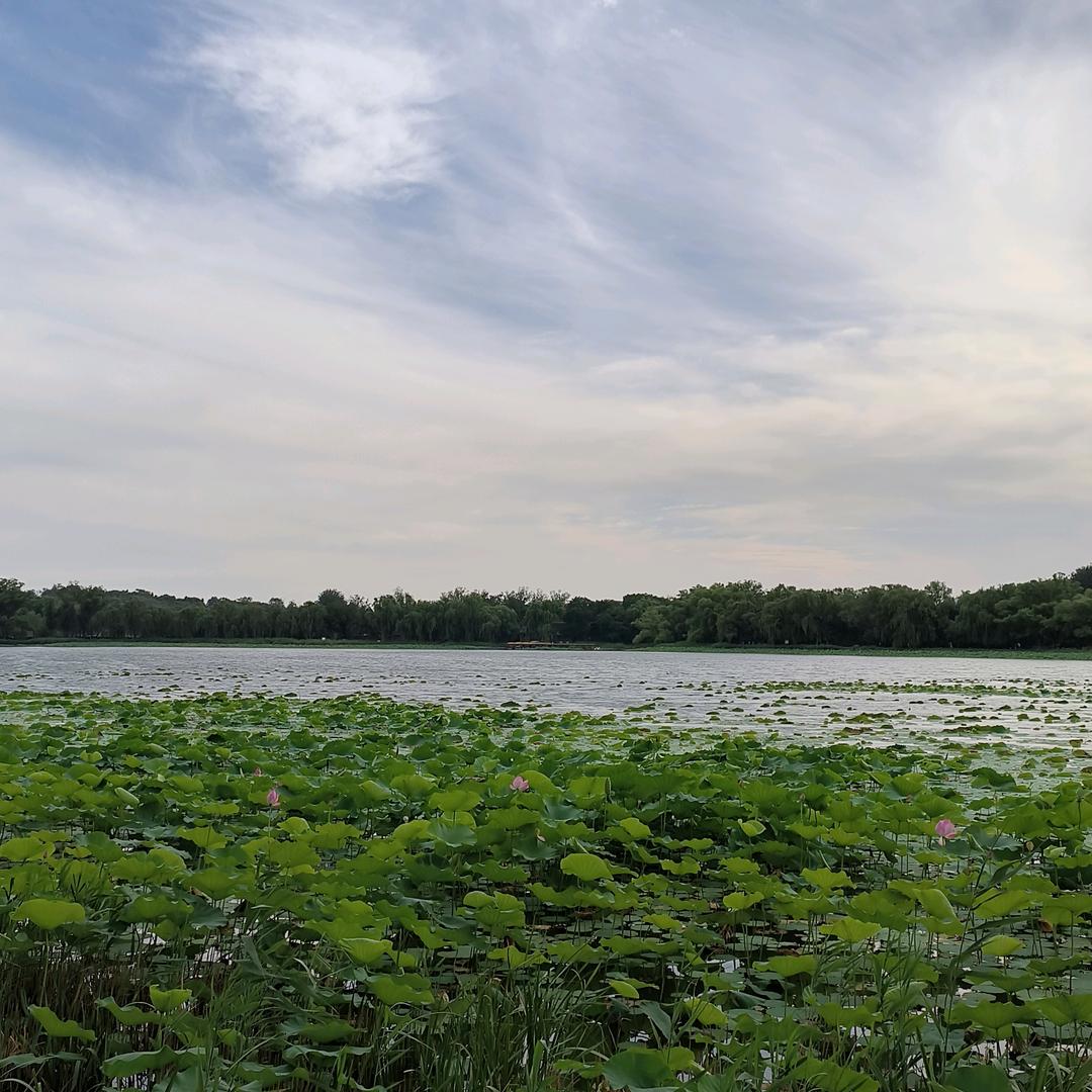 没头脑与不高兴
