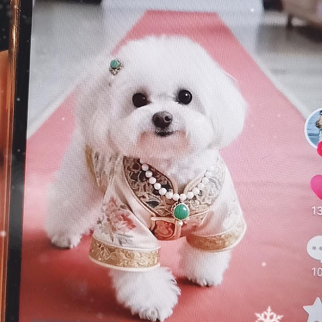 中秋团圆月饼