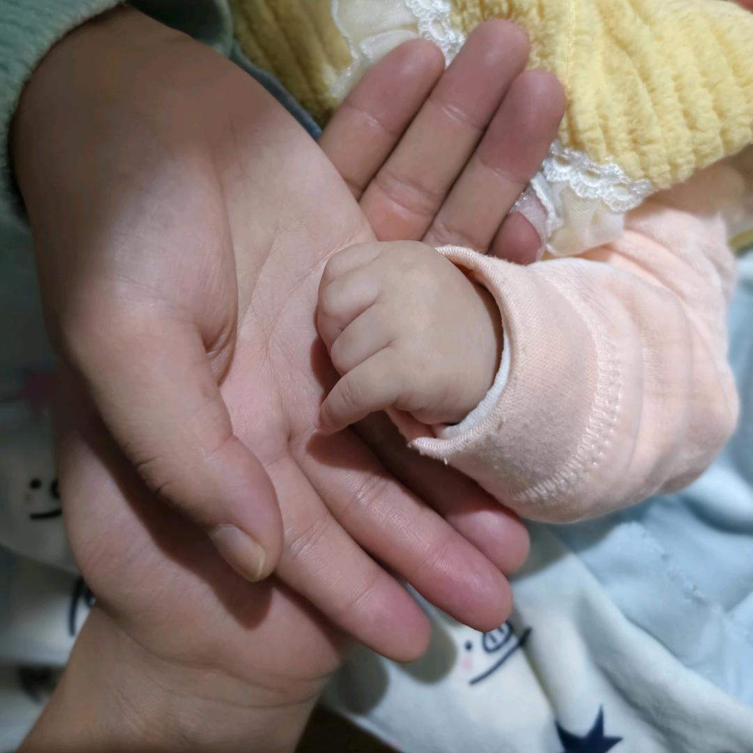 紫霞仙子的至尊宝