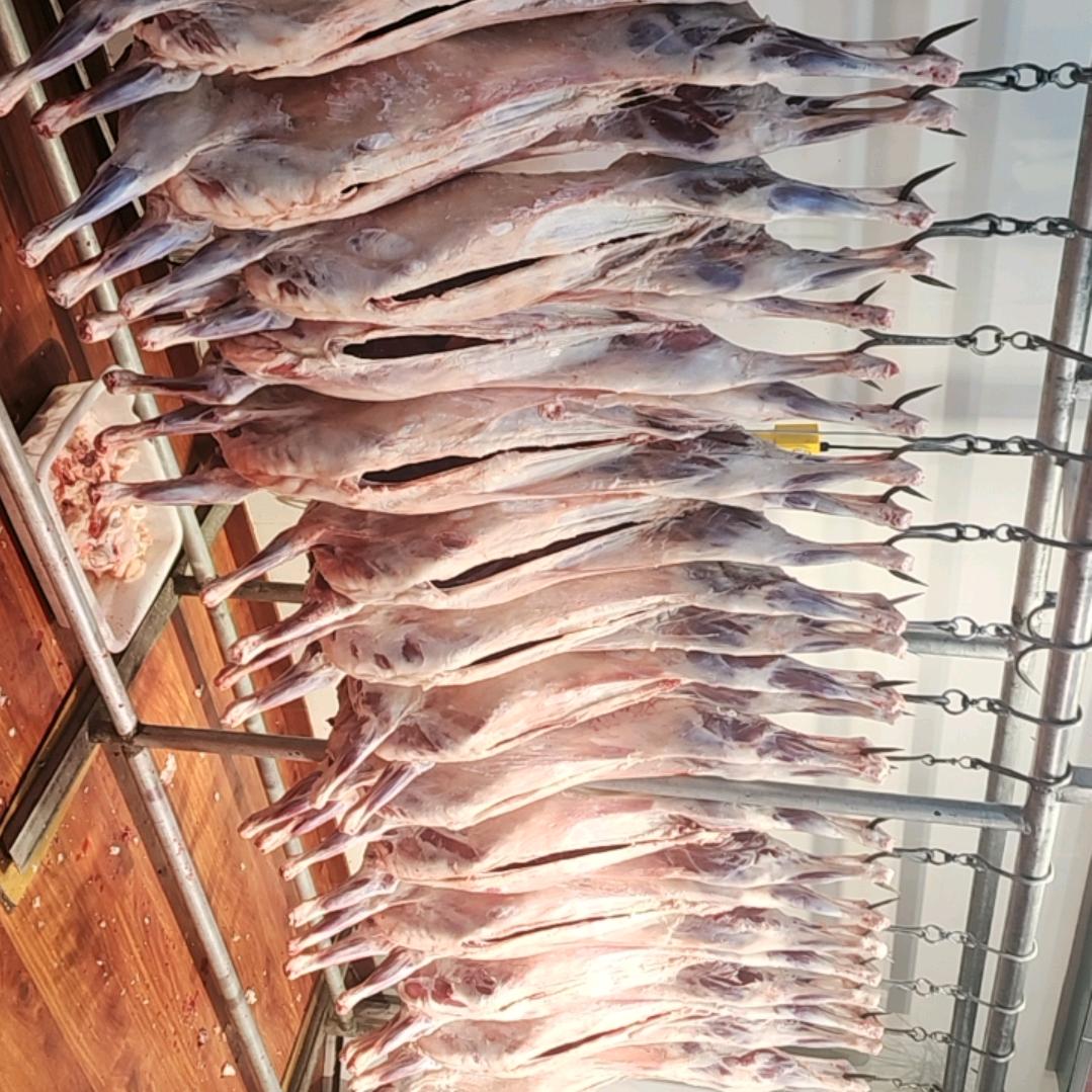 牛小弟（牛羊肉店）