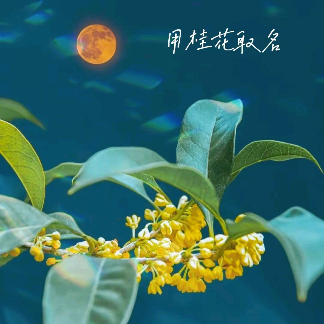 快快乐乐