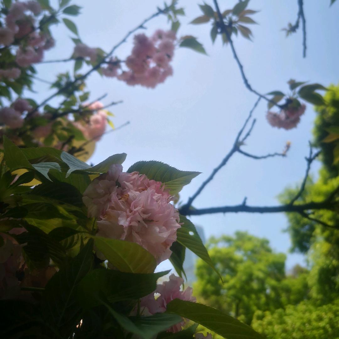 吴与伦比