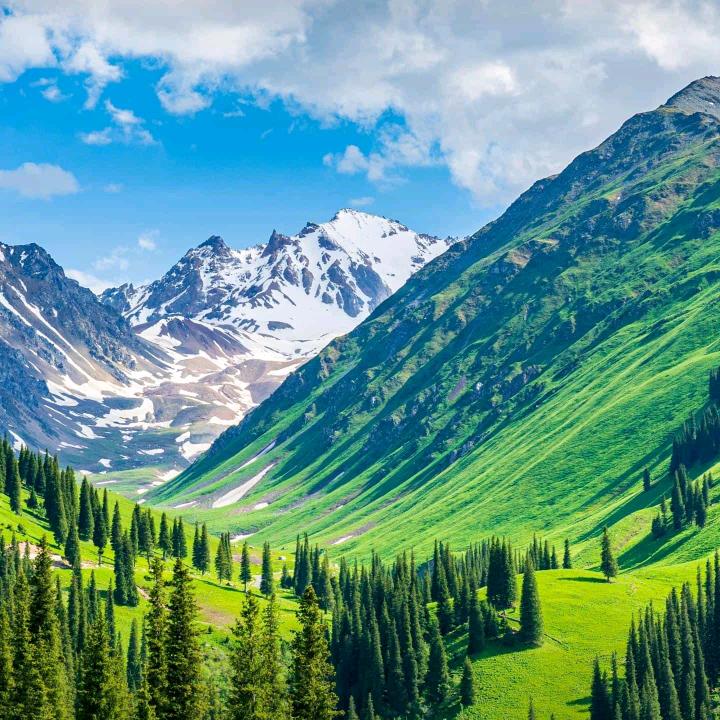 你好我好大家好