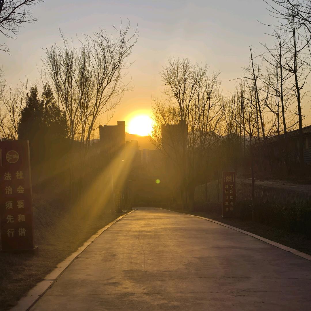 ✨️✨️小叶子✨️✨️