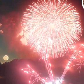 福利家旺旺旺（必胜）