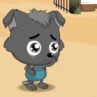 小灰灰…