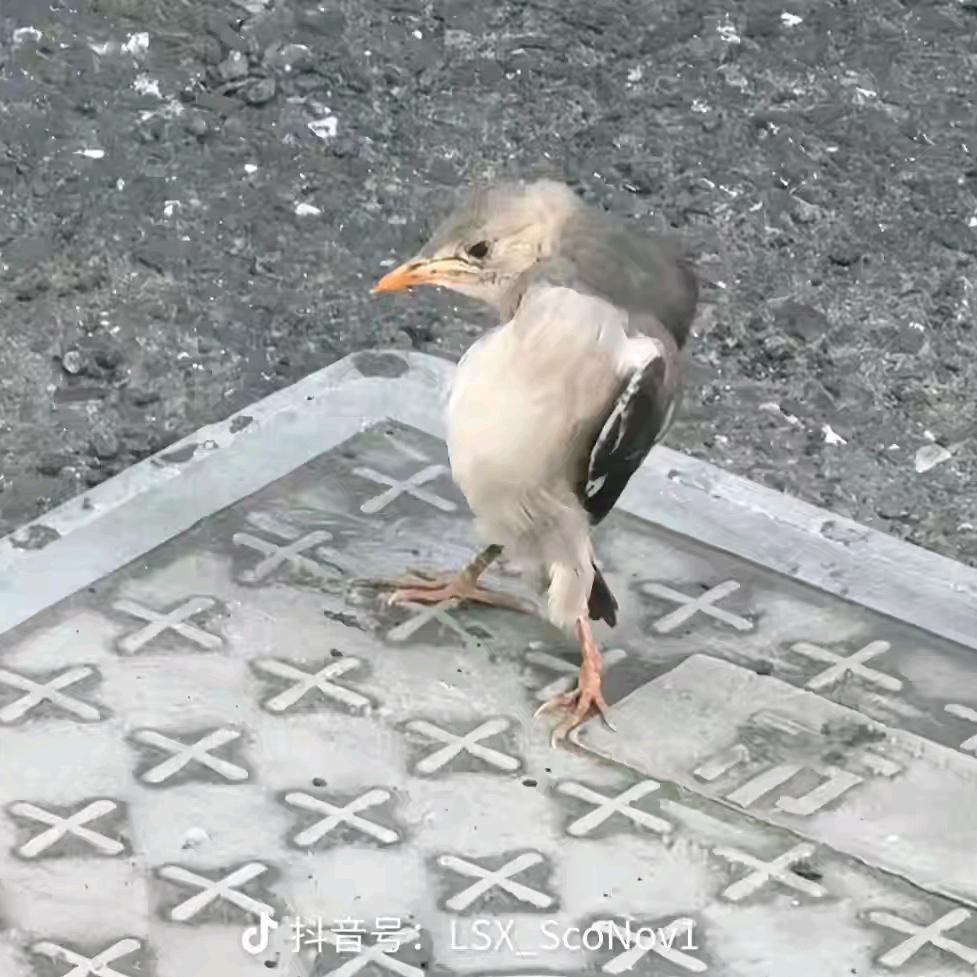 1234