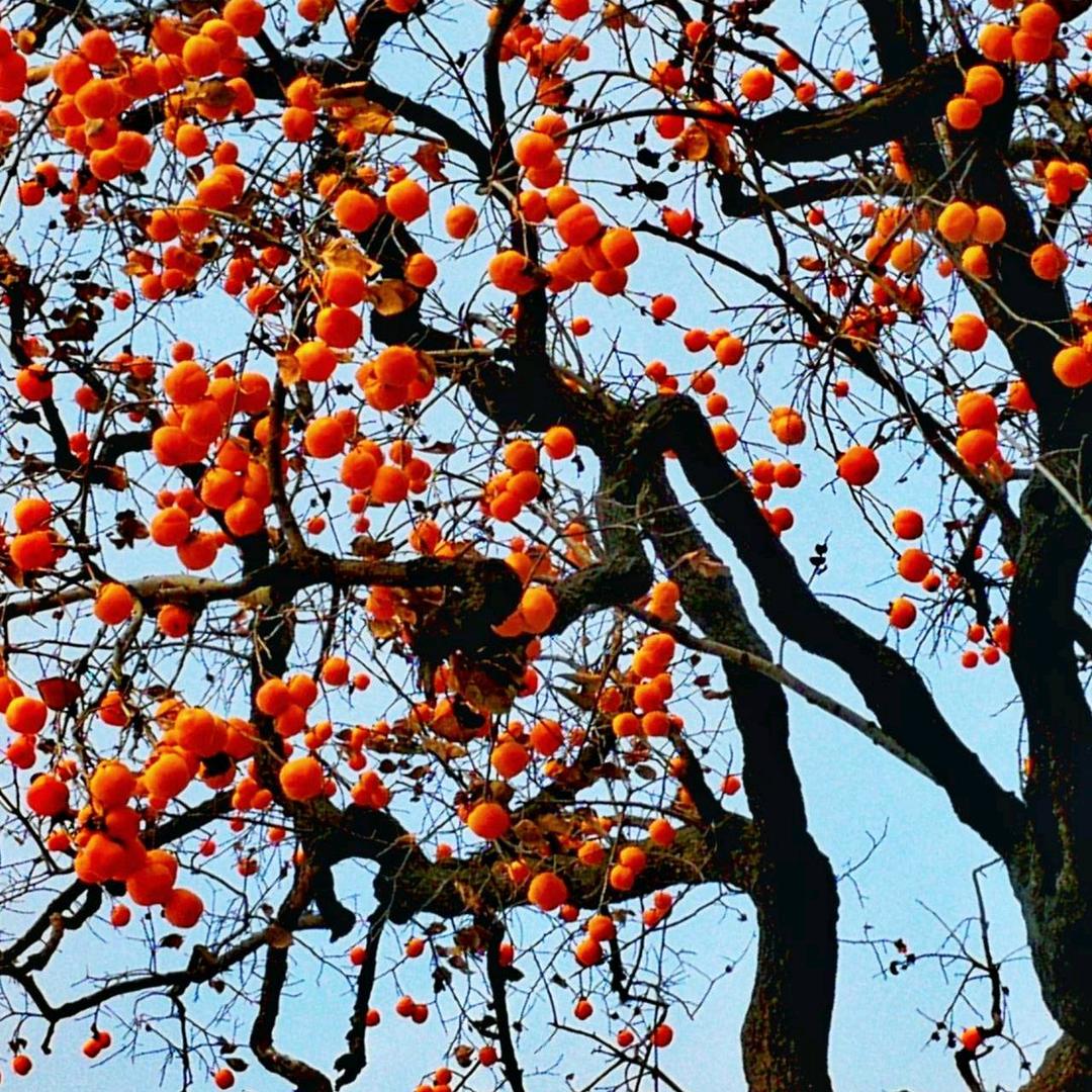 (@_@;)相忘于江湖