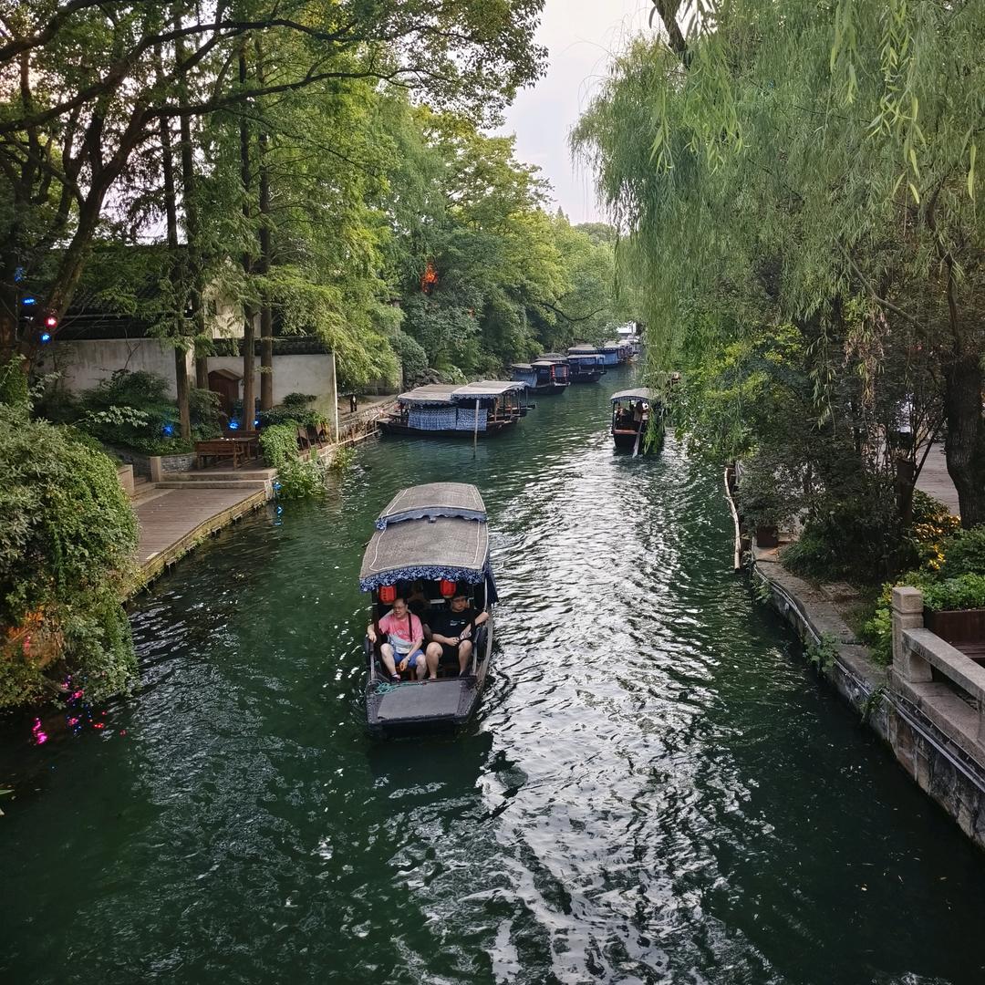 微雨蝶独飞
