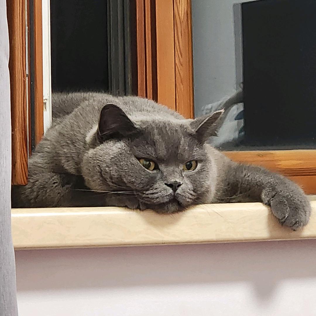 zZ..