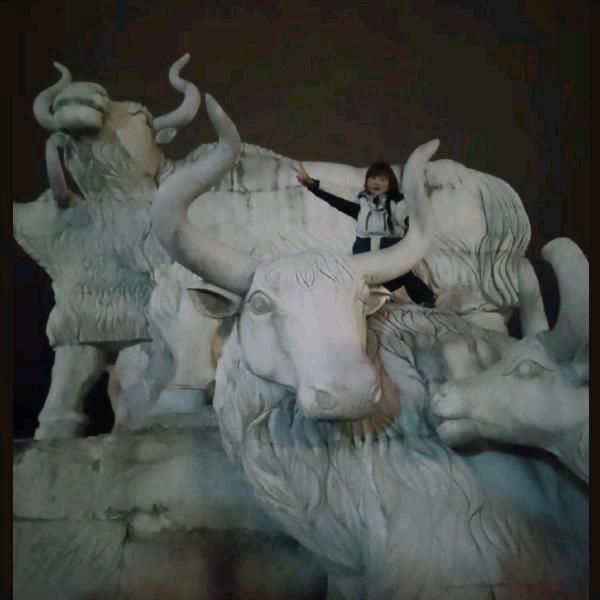 快乐肥小兔๑ᵒᯅᵒ๑